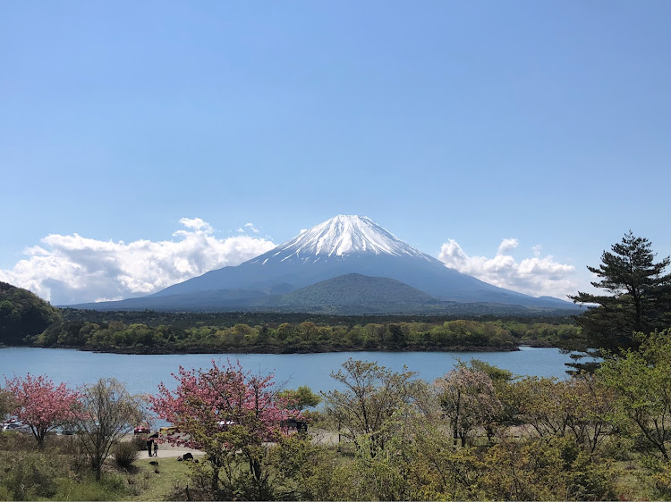 の投稿画像3枚目