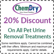 20% discount on all pet urine removal treatments