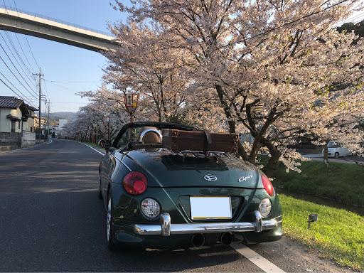 コペン L0kの桜並木と愛車 キャリア取付に関するカスタム メンテナンスの投稿画像 車のカスタム情報はcartune