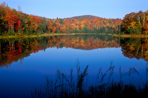 New England Autumn Pond, Green Mountain National Forest