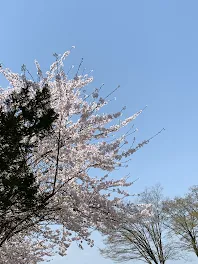 私立織姫女子学園    パート1