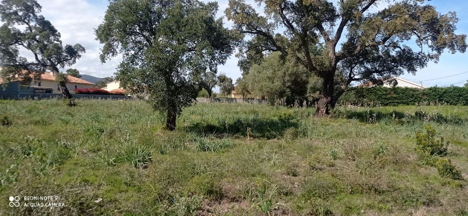 Vente terrain à batir  941 m² à Solaro (20240), 125 000 €