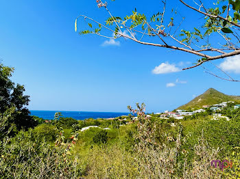 terrain à Les Anses D Arlet (972)