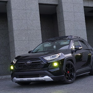 RAV4 MXAA54