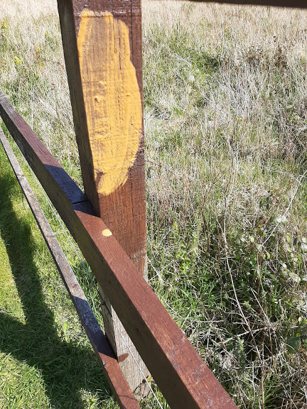 Image of Picket Fence with two types  of colour of paint