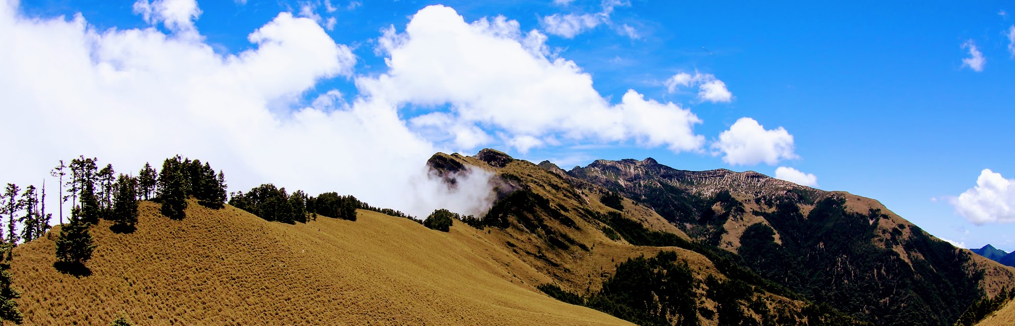 南玉山回望玉山南峰前的草坡