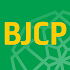 BJCP1.0.2132