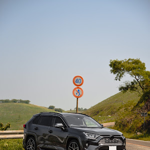 RAV4 MXAA54