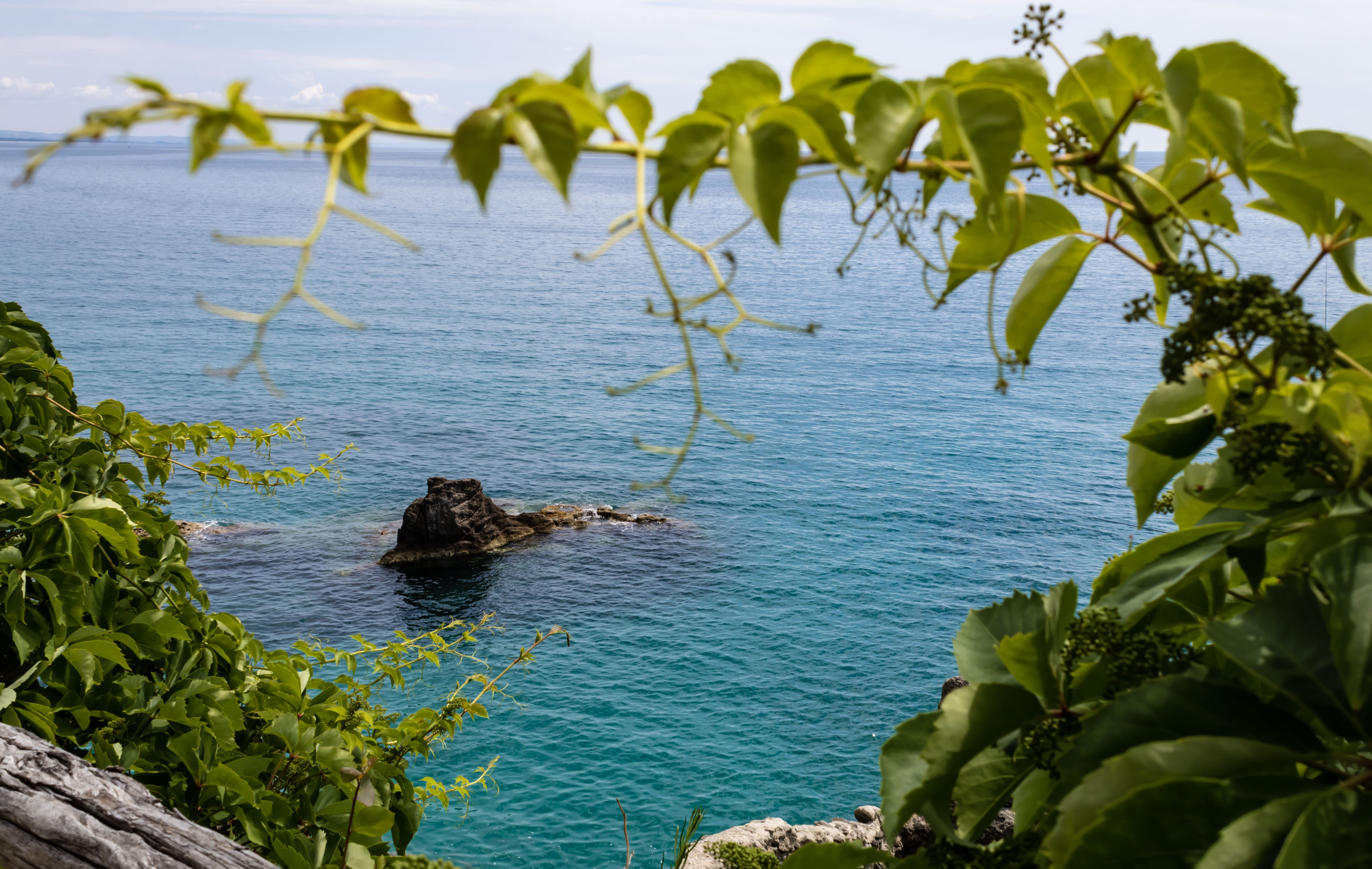 Vista mare  di francescobilo