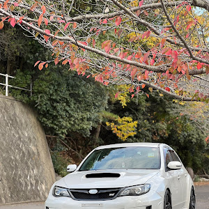 インプレッサ WRX STI GRF