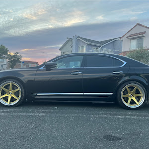 LS UVF45