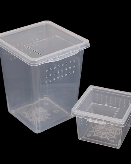 1pcs Plastic Feeding Acrylic Box Insect Spider Habitat Fe... - 1