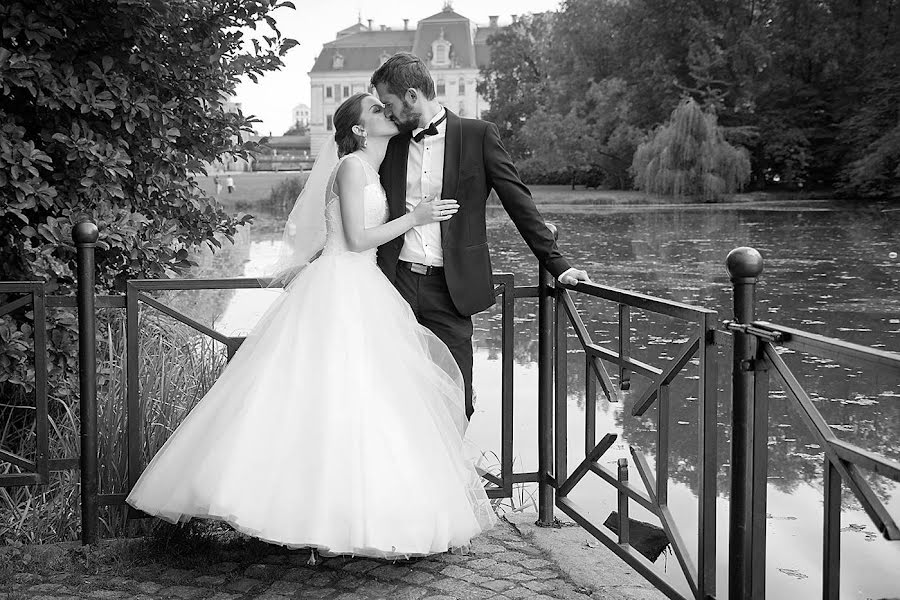 Fotógrafo de casamento Michał Kowalski (michalkowalski). Foto de 24 de fevereiro 2020