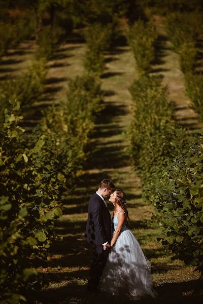 Fotografo di matrimoni Pedja Vuckovic (pedjavuckovic). Foto del 29 agosto 2017