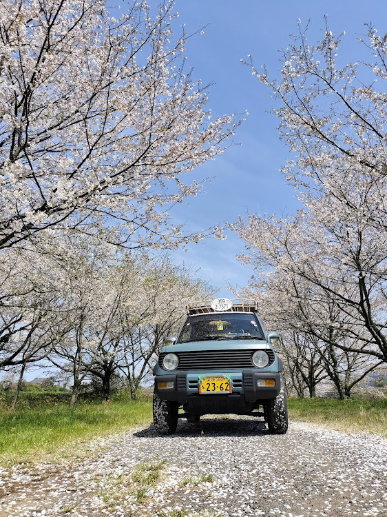 パジェロミニのパジェロミニのある生活・春を探して‥・桜・愛媛散歩に関するカスタム事例の投稿画像5枚目