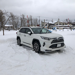 RAV4 MXAA54