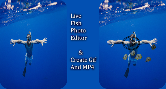 Fish Live Photo Editor(圖2)-速報App
