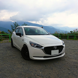 MAZDA2のブレーキローター交換・DIXCEL・DIXCEL FSに関するカスタム