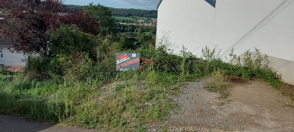 Vente terrain  429 m² à Autreville-sur-Moselle (54380), 45 000 €