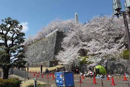 甲府城：桜が満開の甲府城、２０１９年４月６日 撮影