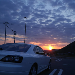 シルビア