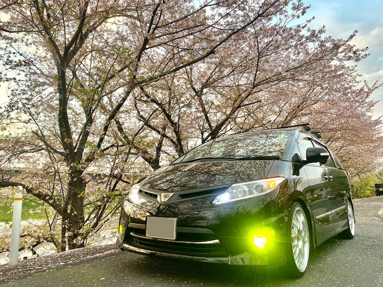 エスティマのE-Prominence・Masa♂Style・桜とコラボ・映えない愛車・鬱に関するカスタム事例の投稿画像2枚目