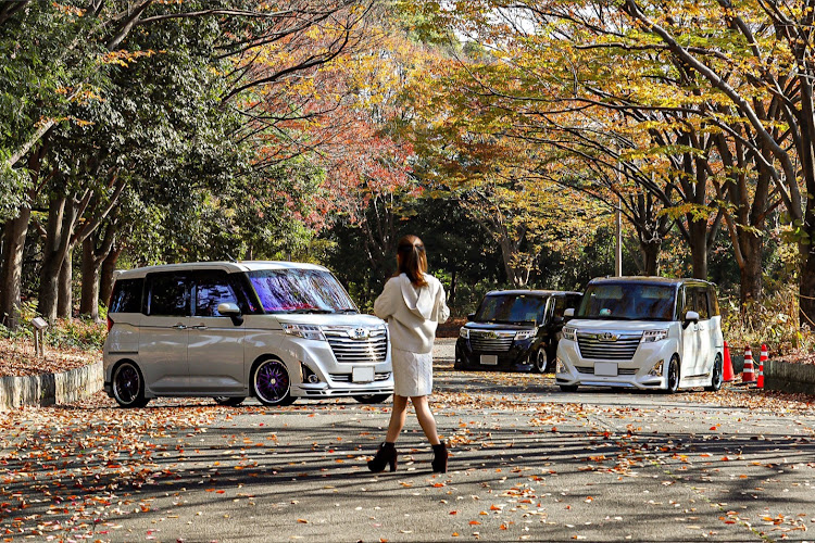 ルーミーカスタムの写活📸・紅葉🍁コラボ・超大作！🤣・盗撮！📸・ビーリーさん、いた！😭に関するカスタム事例の投稿画像24枚目