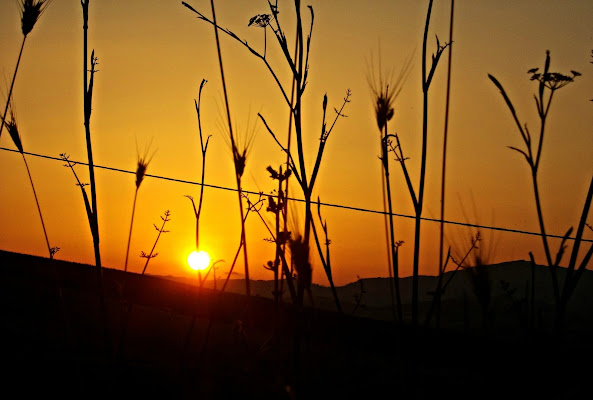 Tramonto Estivo di Elisabetta Di Franco