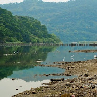 名流水岸慢食藝術館