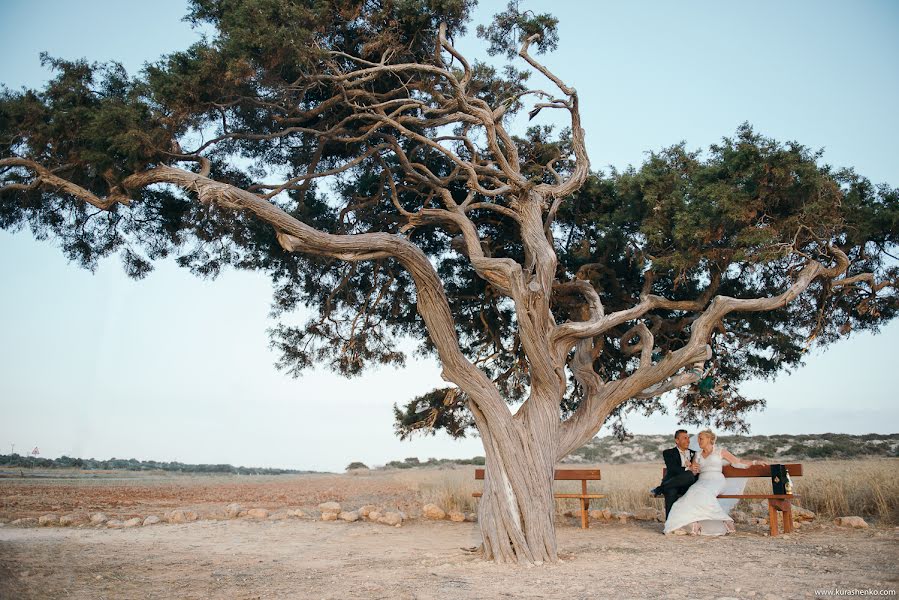 Wedding photographer Anton Kurashenko (kurikompany). Photo of 27 June 2015