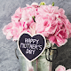 Download Mothers Day Wishes For PC Windows and Mac 1.1