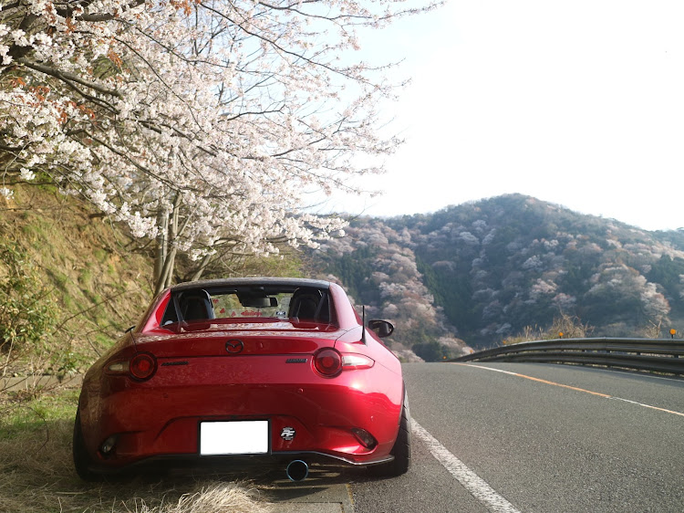 ロードスターRFのレインボーライン・神子の山桜・サクラと愛車に関するカスタム事例の投稿画像7枚目