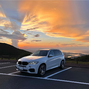 X5 xDrive 35i