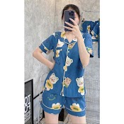 Bộ Tole Pijama Đùi Tay Ngắn Size Từ (40 - 75Kg)