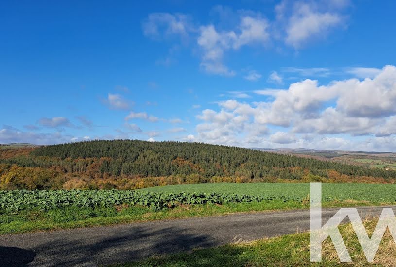  Vente Terrain à bâtir - 2 352m² à Saint-Quintin-sur-Sioule (63440) 