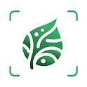 AI Plant Identifier App