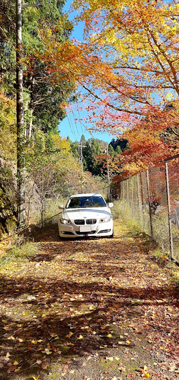 3シリーズ セダンのBMW E90・紅葉🍁・11月もよろしくお願いしますに関するカスタム事例の投稿画像2枚目