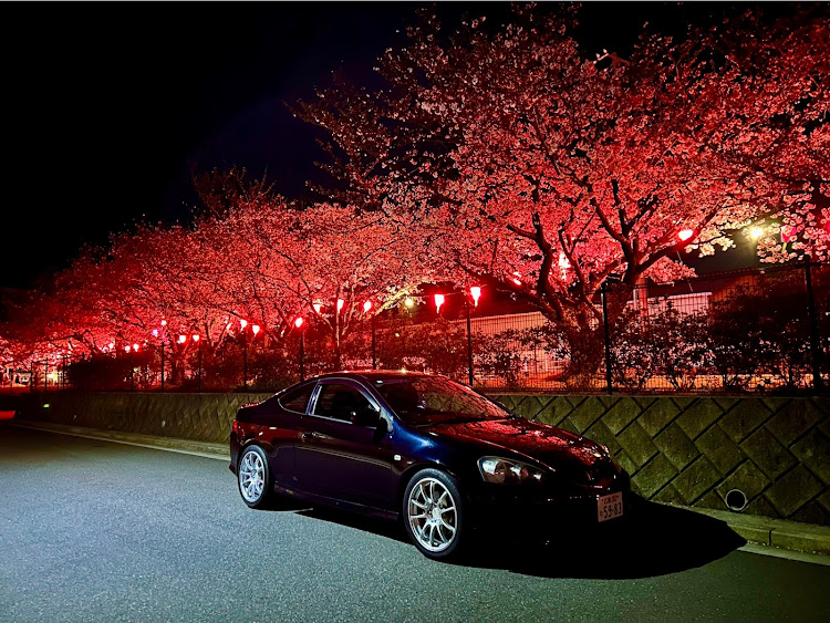 インテグラの4月もよろしくお願い致します🌸・桜とコラボ・桜・夜桜・サクラと愛車に関するカスタム事例の投稿画像3枚目