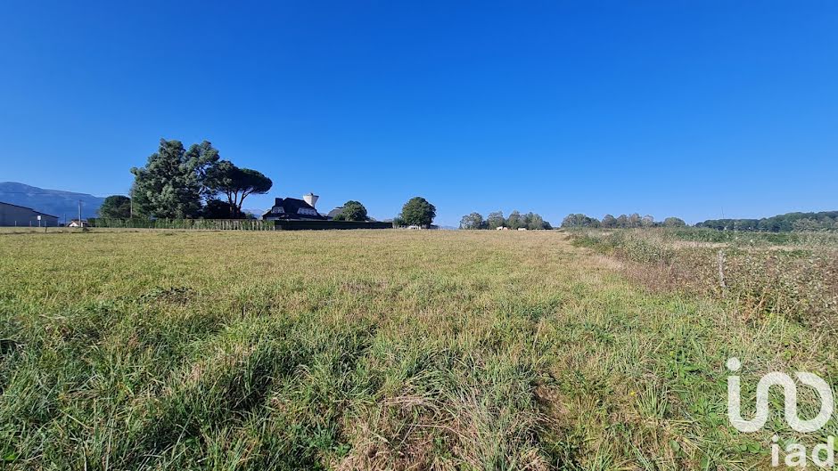 Vente terrain  2425 m² à Lannemezan (65300), 45 000 €