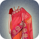 Download Women Saree Photo Suit App For PC Windows and Mac 1.0