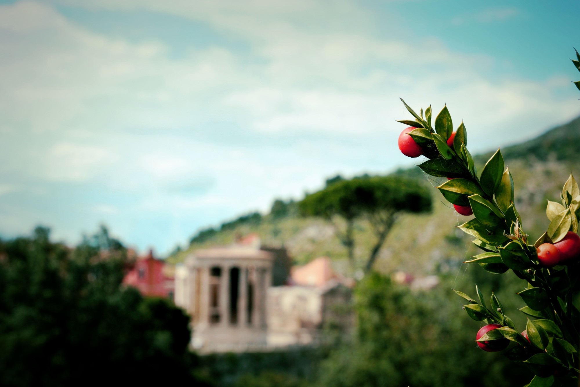 Temple di Luigi Segatori