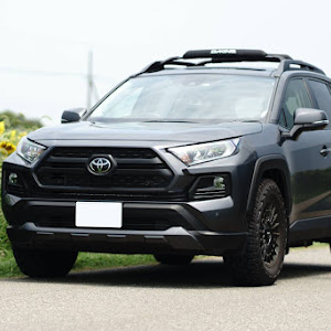 RAV4 MXAA54