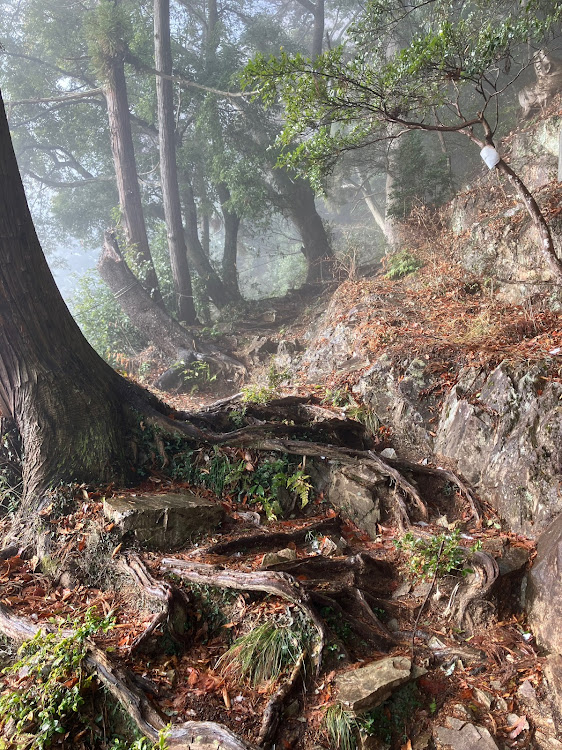 ミラの今熊山に関するカスタム事例の投稿画像4枚目