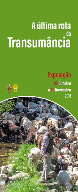 Exposição - 