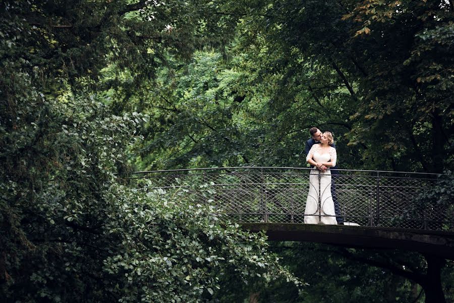 Fotografo di matrimoni Laurent Brisson (brisson). Foto del 2 maggio 2019