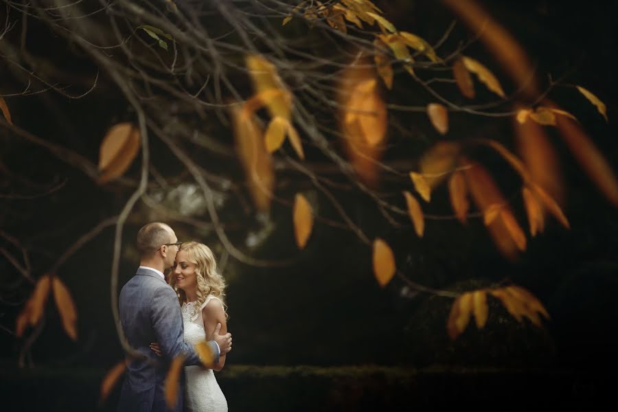 Wedding photographer Andrei Vrasmas (vrasmas). Photo of 30 November 2016