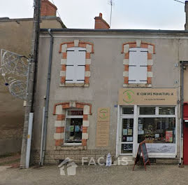 maison à Villedieu-sur-Indre (36)