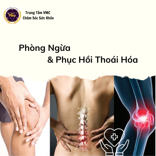 Khóa Học Video Online Phòng Ngừa Và Phục Hồi Thoái Hóa Khớp, Cột Sống - Trung Tâm Chăm Sóc Sức Khỏe Vmc