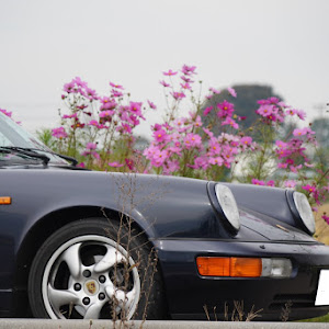 964 カレラ2