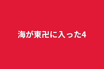 海が東卍に入った4